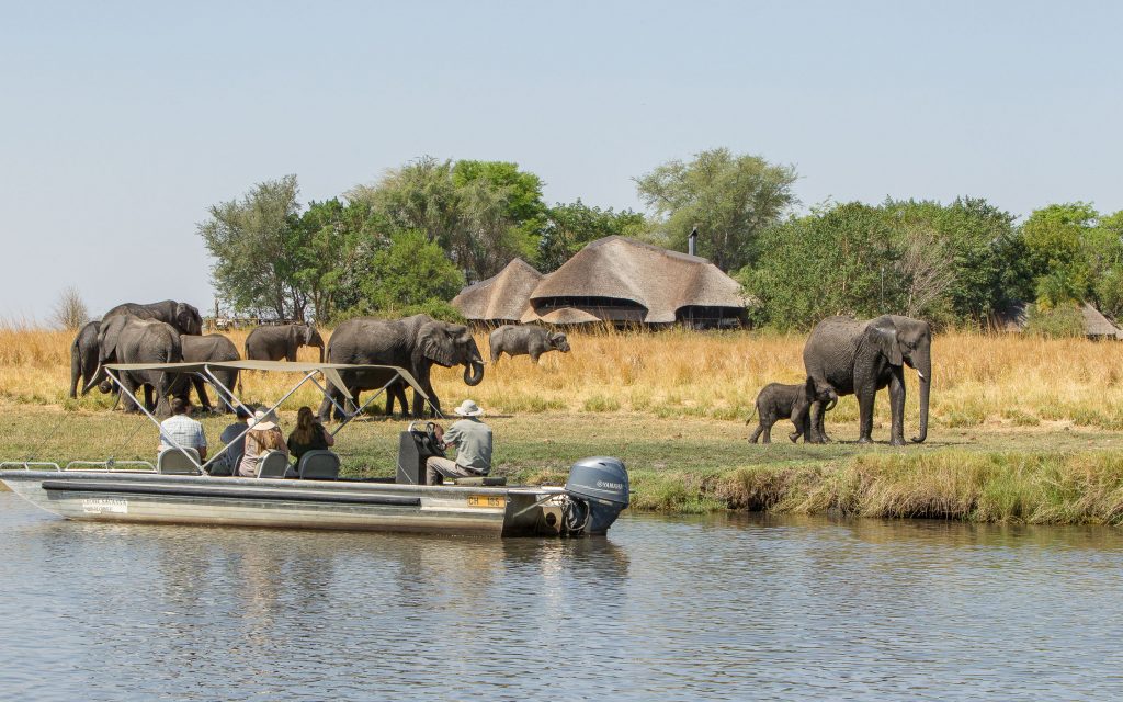 savanna safaris and tours botswana